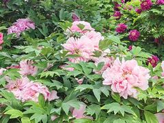 -大钟寺古钟博物馆