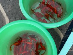 -融汇温泉