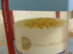 -维尔纳斯·生日蛋糕·动物奶油冰淇淋蛋糕(六里桥店)
