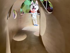 -水桶王国主题餐厅·聚会·生日派对·亲子活动·家庭套餐(亚龙湾希尔顿店)