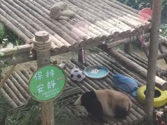 -大连森林动物园