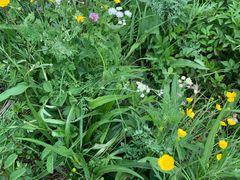 -白草畔自然风景区