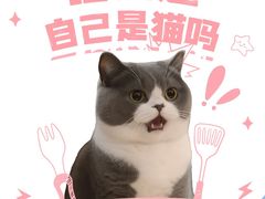 -翊宠yipet猫狗购宠庄园犬舍•猫舍