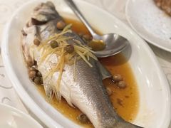 破布子午鱼-光头匠