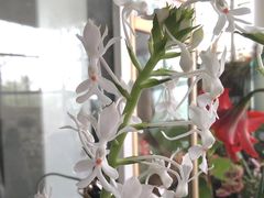 -南山植物园