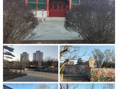 -海棠花溪(元大都城垣遗址公园)