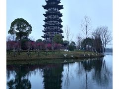 -洋湖国家湿地公园