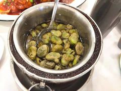 -新名仕新白玉兰餐厅