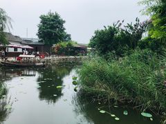 -茯茶镇