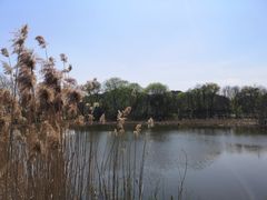 -西湖风景区-江洋畈生态公园