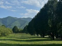 -秦始皇帝陵博物院-丽山园