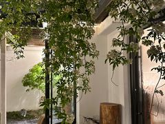 -汤宴·参须肚包鸡(南京路店)