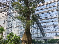 -南山植物园