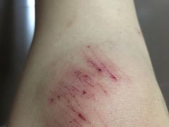 -冠军冰场CHAMPION RINK(中华城店)