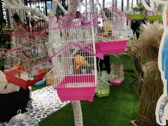 -万达广场(盐城盐都店)