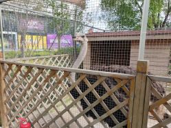 -萌宠亲子动物乐园(槐房万达店)