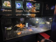 -同济大学四平路校区深海探索馆