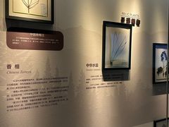 -诸暨博物馆
