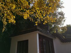 -檀园
