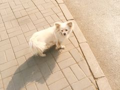 -马记伊源斋涮肉·清真菜(潘家园古玩市场店)