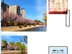 -海棠花溪(元大都城垣遗址公园)
