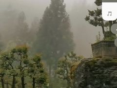 -鹿院坪生态旅游景区