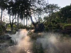 -东莞植物园