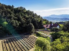-云峰山自然风景区