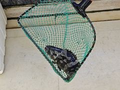 -鑫鸿达·海鲜闽菜热炒小馆(中山路店)