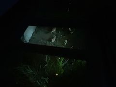 -上海崧泽遗址博物馆