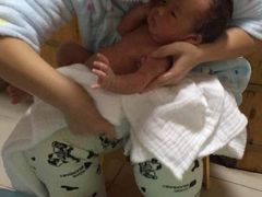 -田螺阿姨自营月嫂·育儿嫂(高新店)