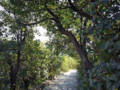 -香山公园