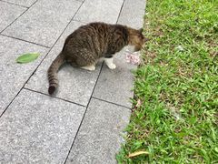 -晓港公园