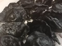 -添福来墨鱼饺子 · 海鲜东北菜(泡崖店)
