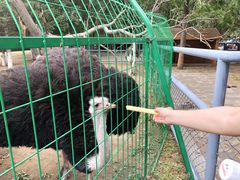 -长白岛森林公园