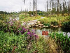 -白鹭湾湿地公园