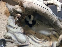 -昆明大悦城未来动物城(螺蛳湾中心店)