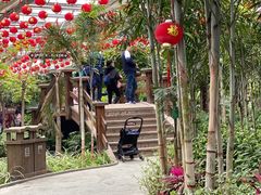 -南宫五洲植物乐园