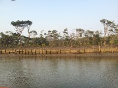 -东寨港红树林旅游区