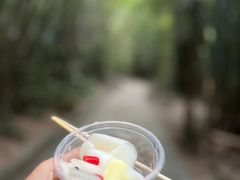 -广州市白云山风景名胜区