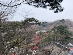 -妙峰山风景名胜区