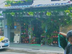-溪岸路花鸟市场