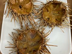 -海胆小馆(东北水饺·春柳店)