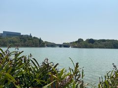 -华侨城湿地公园