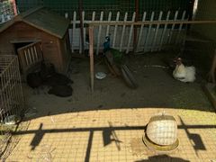 -西西里轰趴日租聚会别墅·团建拓展