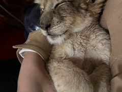 -鄂尔多斯野生动物园