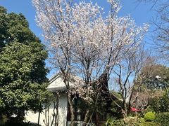 -杭州西子湖四季酒店-WL BISTRO西湖餐厅(灵隐路店)