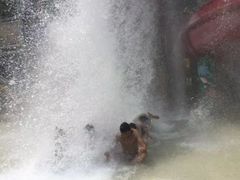 -重庆海昌加勒比海水世界