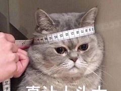 -必胜客(宁波天一水街店)