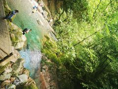 -西岭雪山大飞水景区